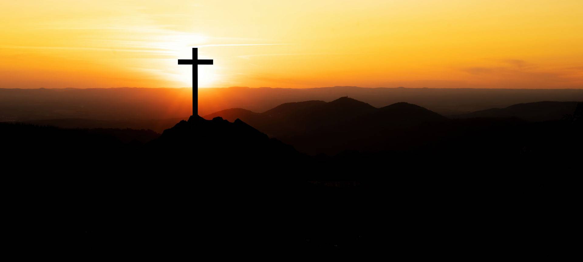 Quelle: Corri Seizinger – istockphoto.com, istockphoto.com, Corri Seizinger , 1404996009